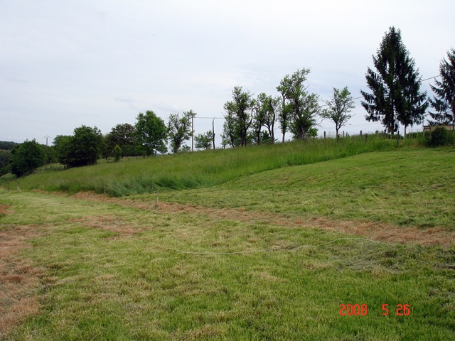 [DSC00060[6].jpg]